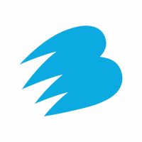 Electric Bear Brewing Co