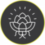 Пиво Cosmic Flotilla Пиво Cosmic Flotilla