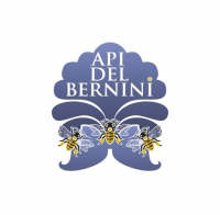 Api Del Bernini
