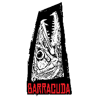 Barracuda