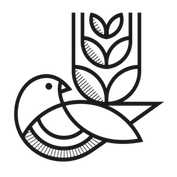 Good Things Brewing Co