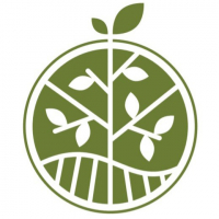 Первая частная дистилярня