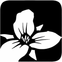 Trillium Brewing Company