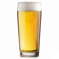 Lager - Dortmunder / Export