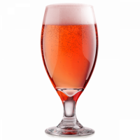 Sour - Fruited Gose