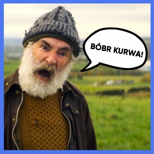 Kurwa bobr перевод. Номера kurwabobr. Bobr kurwa перевод с польского.