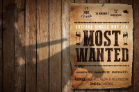 Пиво Most Wanted (Cascade Single Hop IPA)