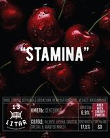 Пиво STAMINA
