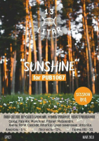 Пиво Sunshine (for 1067)