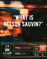 Пиво What Is Nelson Sauvin?..
