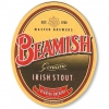 Пиво Beamish Irish Stout