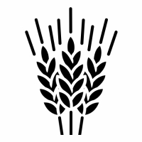 Пиво Wheat It Up