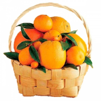 Пиво Citrus Basket Пиво Citrus Basket