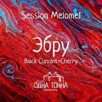 Пиво Эбру: Black Currant+Cherry Пиво Эбру: Black Currant+Cherry