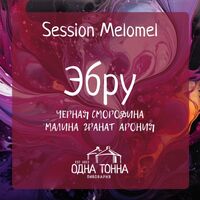 Пиво Эбру: Черная смородина+Малина+Гранат+Арония