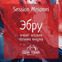 Пиво Эбру: Гранат+Арония+Черника+Вишня