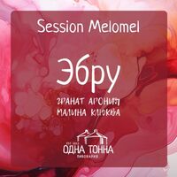 Пиво Эбру: Гранат+Арония+Малина+Клюква