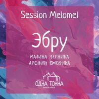 Пиво Эбру: Малина+Черника+Арония+Ежевика