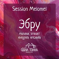 Пиво Эбру: Малина+Гранат+Вишня+Арония Пиво Эбру: Малина+Гранат+Вишня+Арония