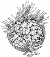 Пиво Эхо тайги