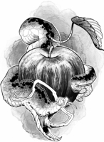 Пиво горечь плода