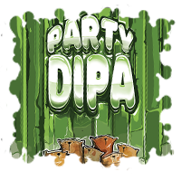 Пиво Party DIPA