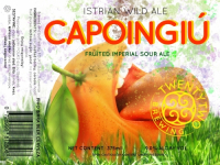 Пиво Capoingiu-Fruited Imperial Sour Ale Пиво Capoingiu-Fruited Imperial Sour Ale