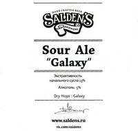 Пиво Sour Ale Galaxy