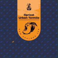 Пиво Apricot Urban Termite