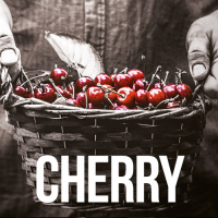 Пиво Ортодокс Вишня