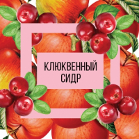 Пиво Клюквенный сидр