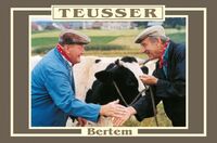 Пиво Teusser Bertem