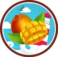 Пиво Art of Tart (Mango)