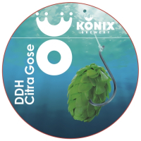 Пиво DDH Citra Gose Пиво DDH Citra Gose