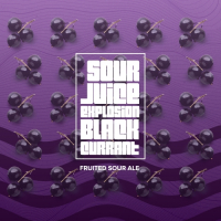 Пиво Sour Juice Explosion - Black Currant