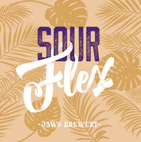 Пиво Sour Flex