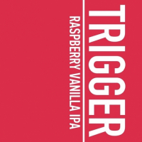 Пиво Raspberry Vanilla IPA