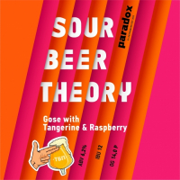 Пиво Sour Beer Theory: Gose With Tangerine & Raspberry