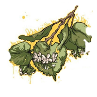 Пиво Lipa Naked Ice