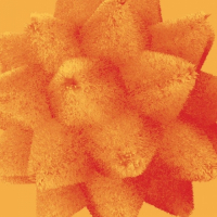 Пиво Apricot Smoothie