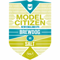 Пиво Brewdog vs Salt: Model Citizen