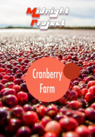 Пиво Cranberry Farm
