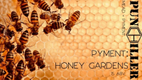 Пиво Pyment: Honey Gardens Пиво Pyment: Honey Gardens