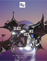 Пиво Slice of Vice #3