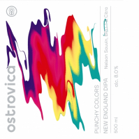 Пиво PUNCHY COLORS (Nelson Sauvin, Citra & BRU-1)