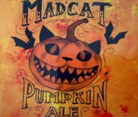 Пиво Pumpkin Ale