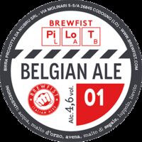 Пиво Pilot Lab: Belgian Ale 01 Пиво Pilot Lab: Belgian Ale 01
