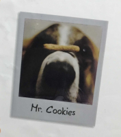 Пиво Mr. Cookies