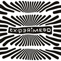 Пиво Experimead #12 Bourbon BA Sweet Mead