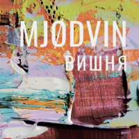 Пиво MJODVIN Вишня Пиво MJODVIN Вишня
